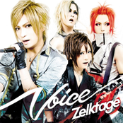 Voice