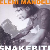 Snakebite by Eleni Mandell