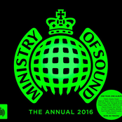 The Annual 2016