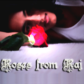 Roses From Raj