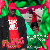 Ding Dong: Fling