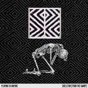 Skeleton (From the Swamp)