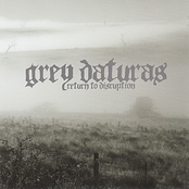 Undisturbed by Grey Daturas