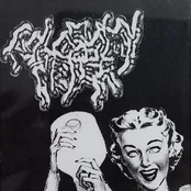 An Obscene Tapestry of Profanity