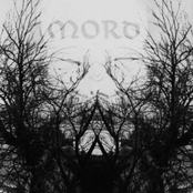 Morde
