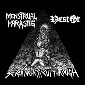 Seven Inches//Cut Through