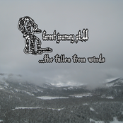 Forest Journey pt.II ...the Fallen from Winds