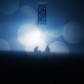 The Unforgettable Fire Tribute