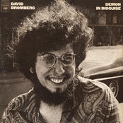 David Bromberg: Demon In Disguise