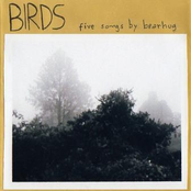 Birds EP