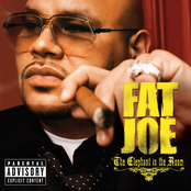 The Crackhouse by Fat Joe Feat. Lil' Wayne