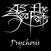 Psychosis (Single)