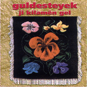 guldesteyek