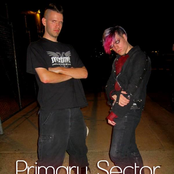 primary sector