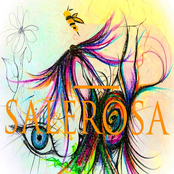 Undisclosed Locations