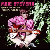 I Saw A Field by Meic Stevens