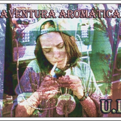 aventura aromatica