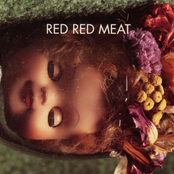 Taxidermy Blues In Reverse by Red Red Meat