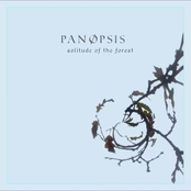 Solitude of the Forest - Single