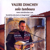 Solo tamboura