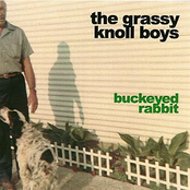 Darling Our Love by The Grassy Knoll Boys