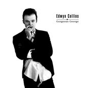 It's Right In Front Of You by Edwyn Collins