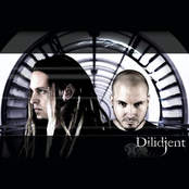 dilidjent