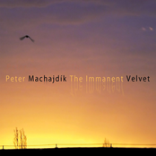 The Immanent Velvet