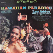 Hawaiian Paradise