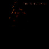 The Sepia Raven
