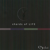 shards of LIFE