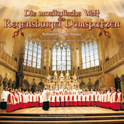 Die musikalische Welt der Regensburger Domspatzen - Kathedralen der Donau