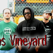 Erins Vineyard