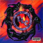 Erotic Liquid Culture