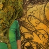 Marigold Placenta In Venus