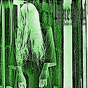 In The Ashes Of My Perdition