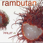 Fruit 4 - Rambutan