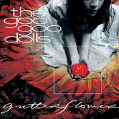 The Goo Goo Dolls: Gutterflower