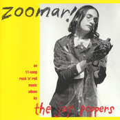 Zoomar!