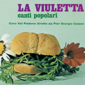 La viuletta