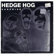 Into The Sun/Surprise