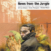 News from the Jungle