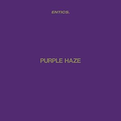Purple Haze