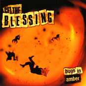 Bugs In Amber by Get The Blessing