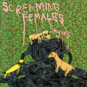 No Being Disgusting by Screaming Females