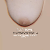 The Modulator Hustle
