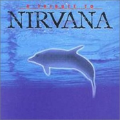 A Tribute to Nirvana