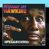 Really Love You Baby by Screamin' Jay Hawkins