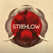 Strehlow