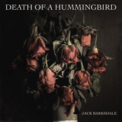 Jack Barksdale: Death of a Hummingbird